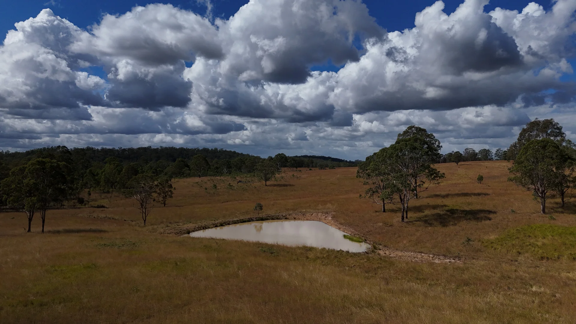Additional image 3 of Lot/4 & 82 Willi Willi Road, Turners Flat NSW 2440