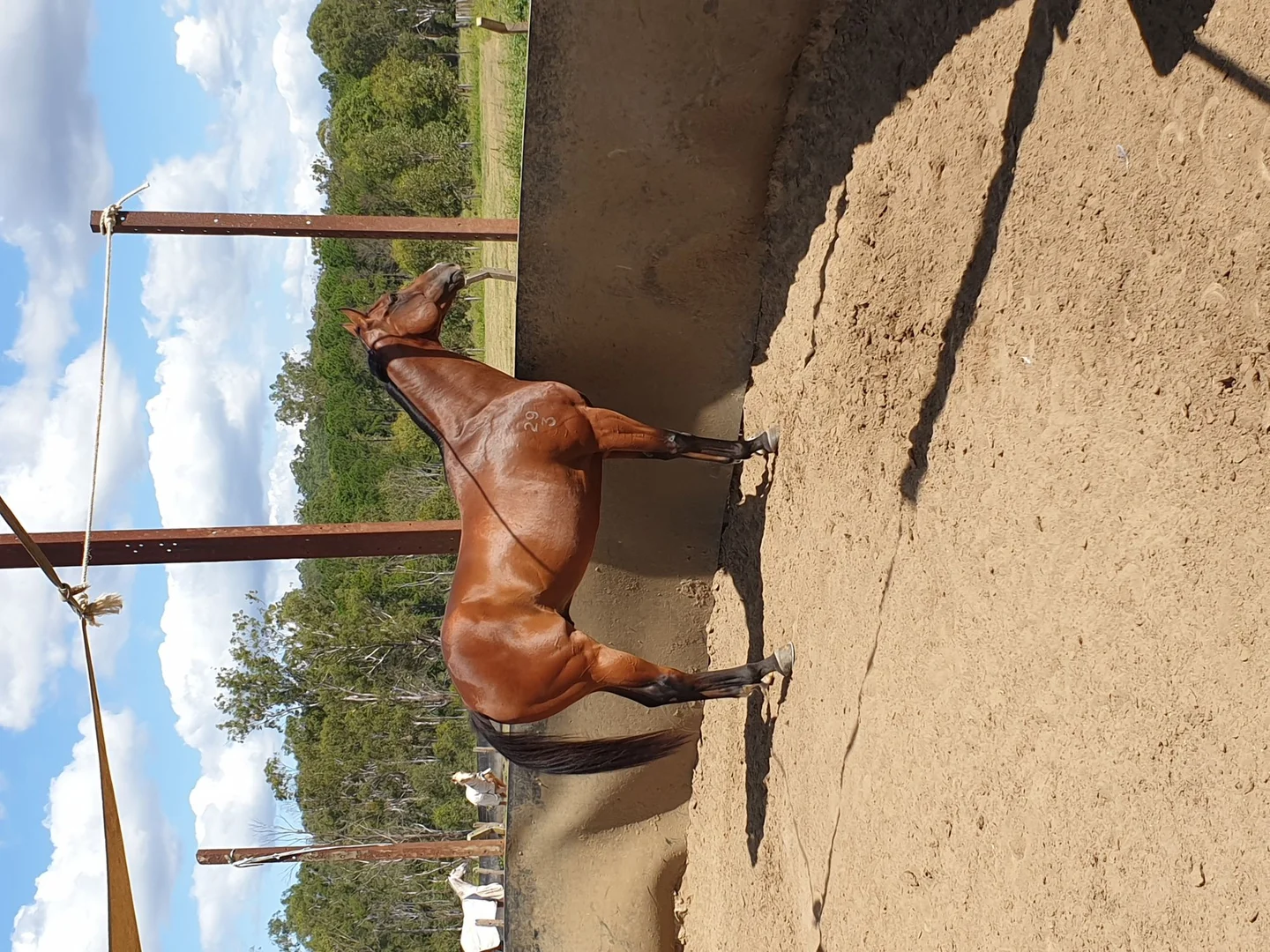 Additional image 14 of Bundamba QLD 4304