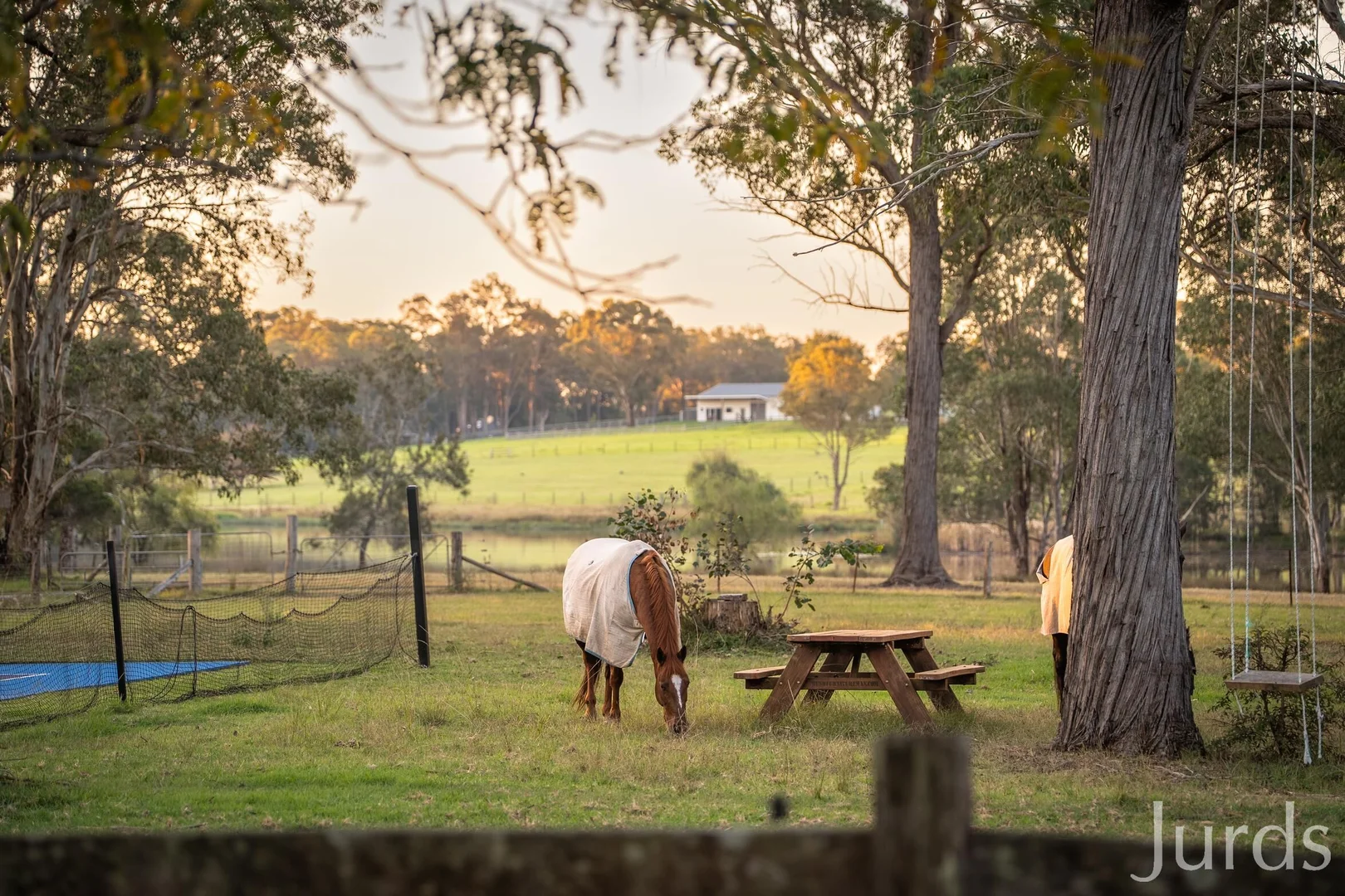 Additional image 36 of 136 Whitings Lane, Quorrobolong NSW 2325