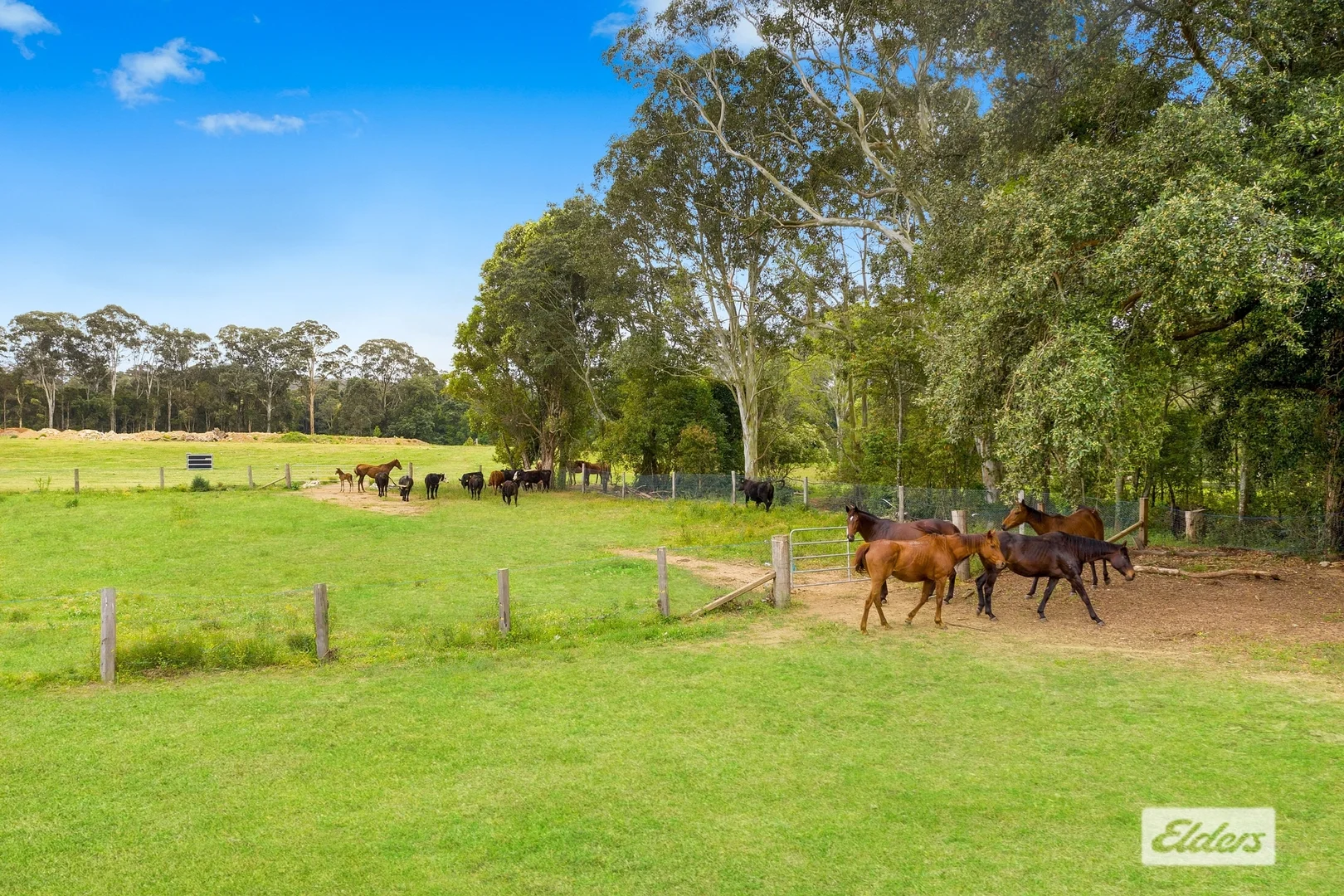Additional image 9 of 55 Davenport Lane, Jilliby NSW 2259