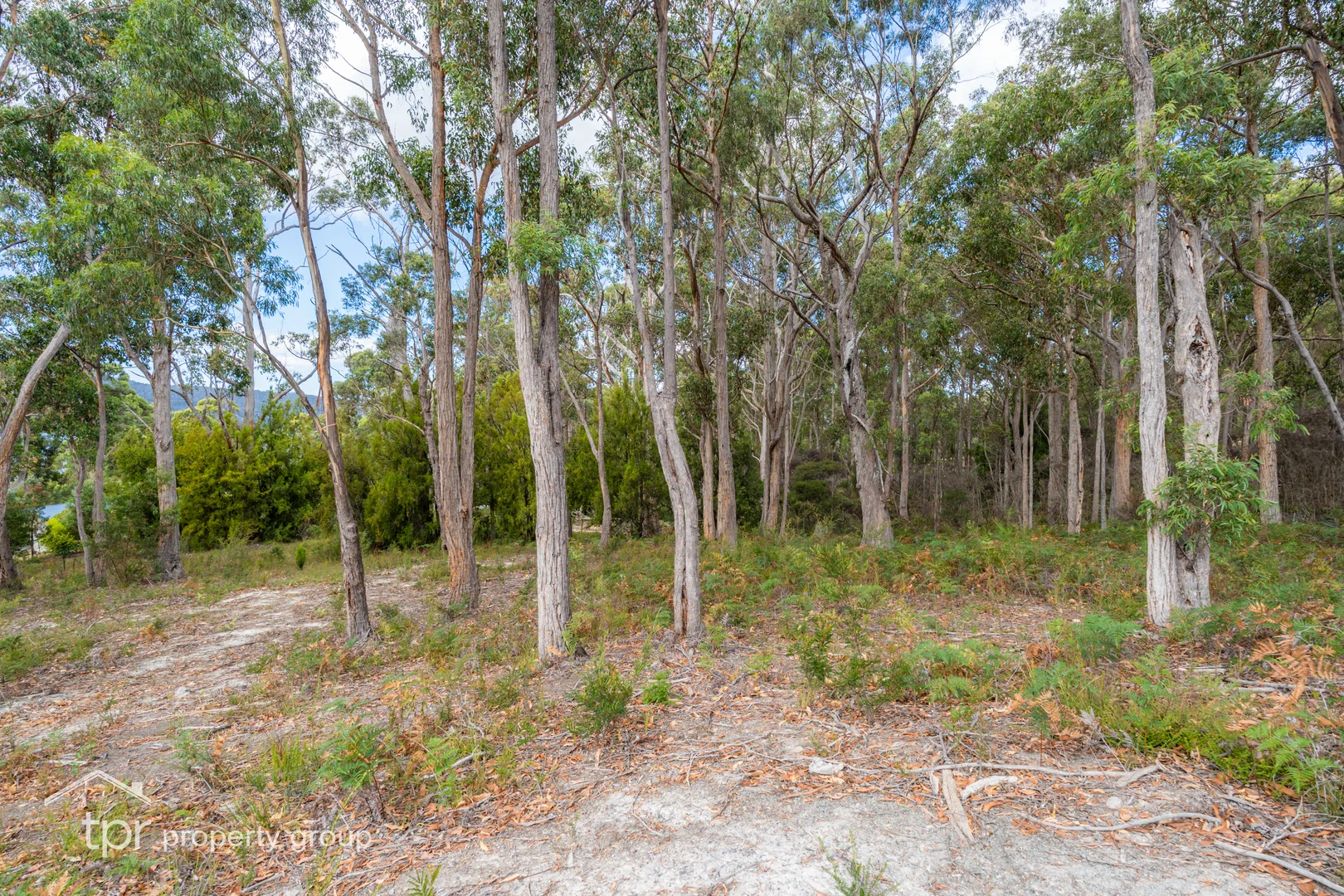 Additional image 35 of 149 Esperance Coast Road, Surges Bay TAS 7116