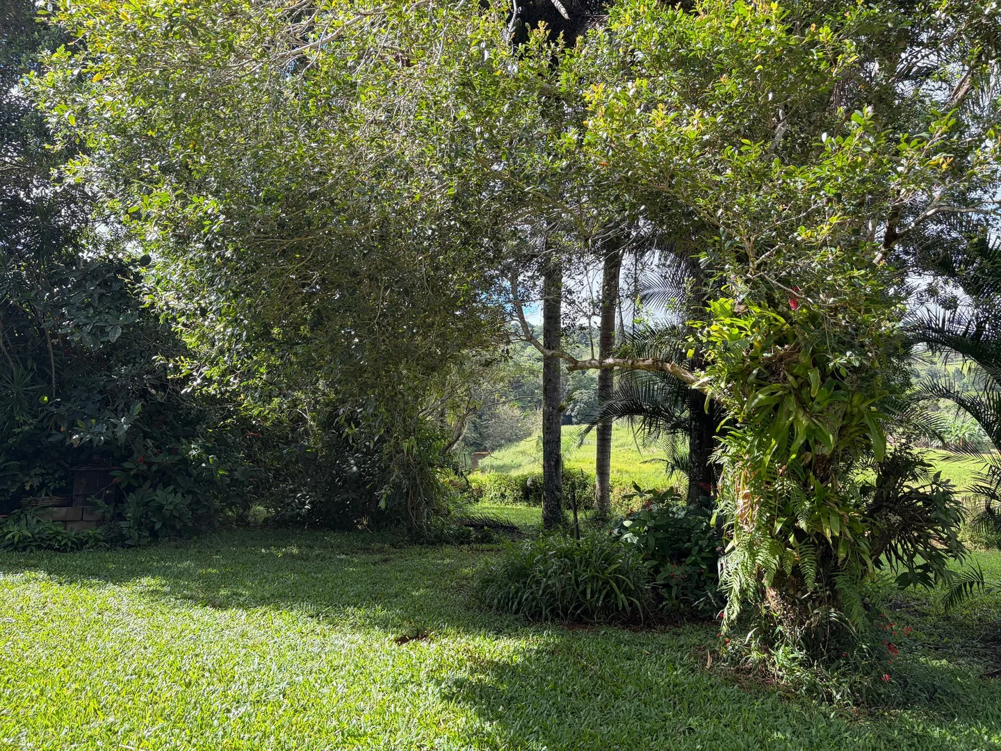 Additional image 8 of 15 Old Millaa Road, Tarzali QLD 4885
