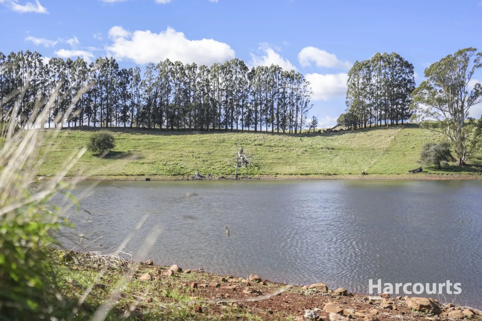 Additional image 48 of 214 Mathinna Plains Road, Ringarooma TAS 7263