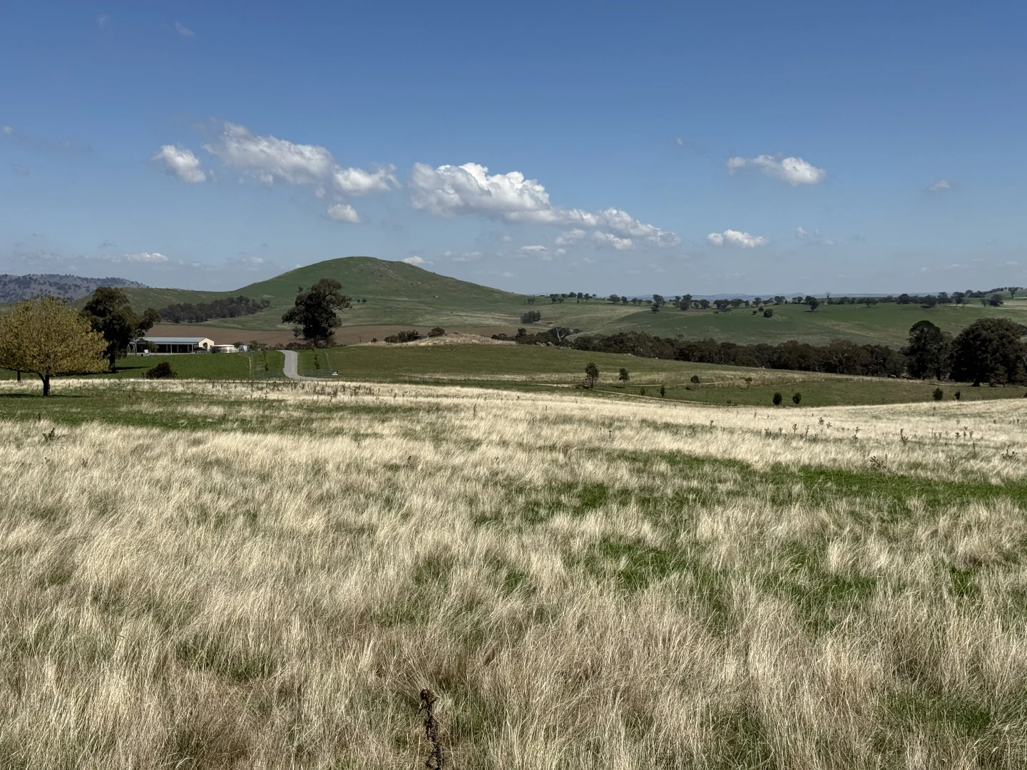 Additional image 8 of Camerons Hill Lot 17 Reynolds Lane, Binalong NSW 2584