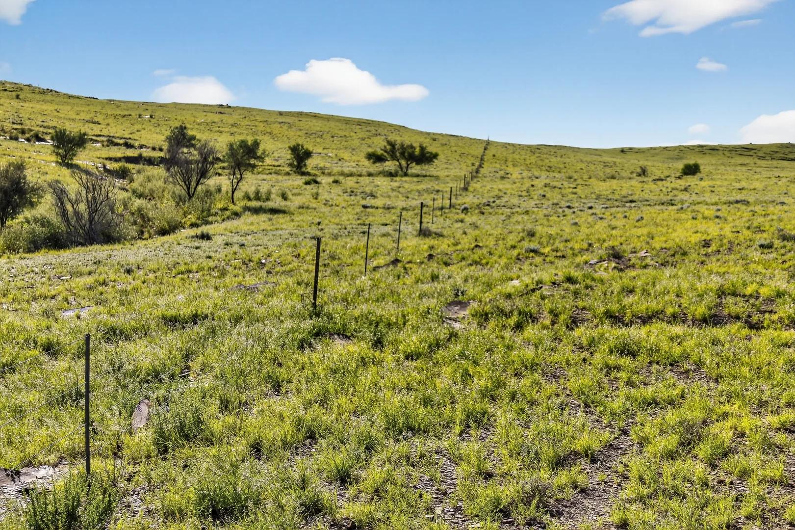 Additional image 7 of Mt Freeling Station Talc Mine Road, Lyndhurst SA 5731