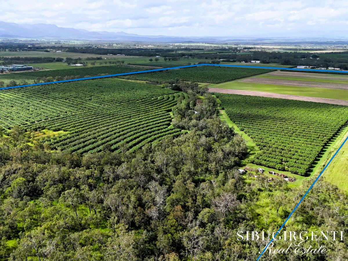 Additional image 4 of 262 Gilmore Road, Mareeba QLD 4880