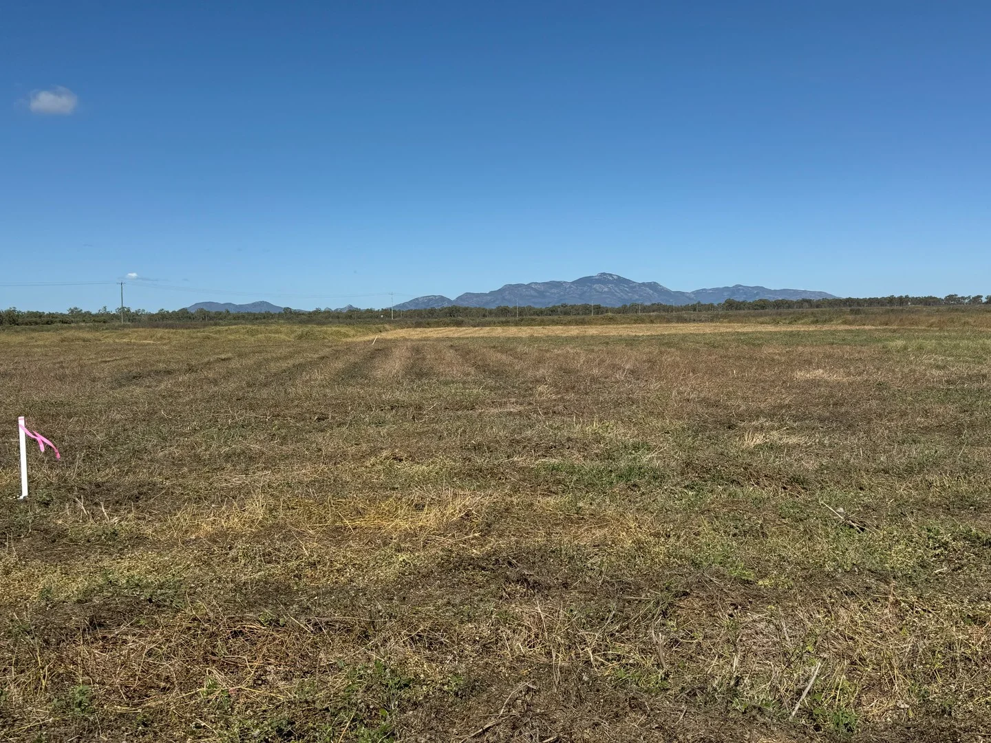 MULTIPLE LOTS Nevada Road, Guthalungra QLD 4805