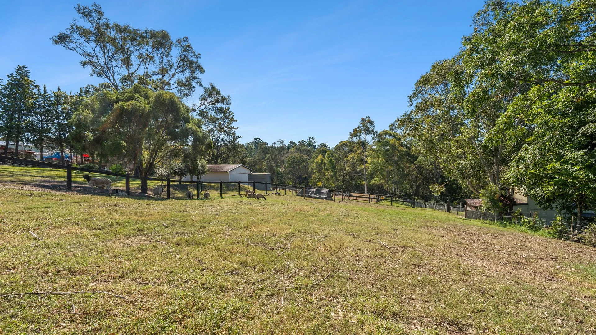 Additional image 4 of 95 Single Ridge Road, The Slopes NSW 2754
