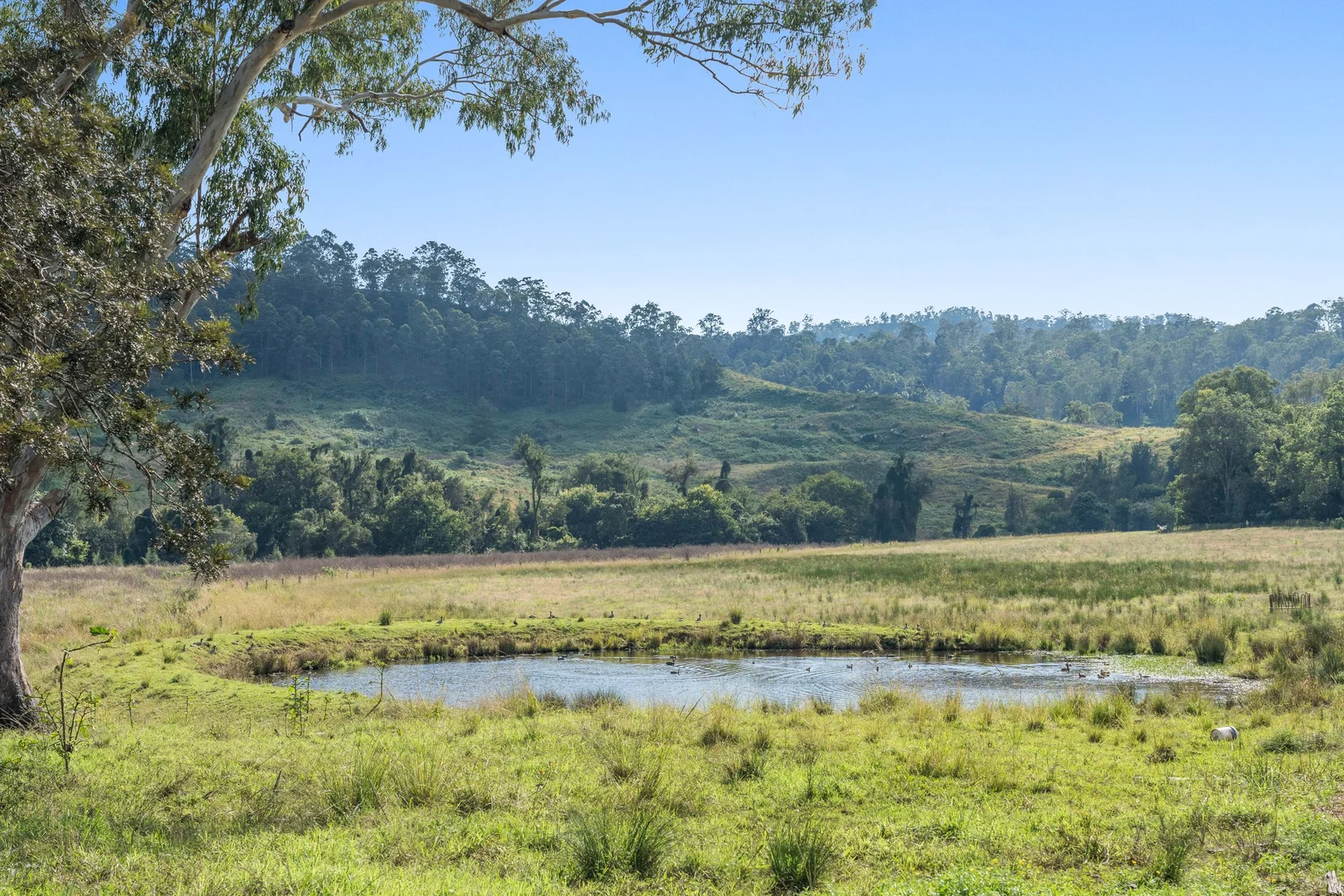Additional image 27 of 1050 Afterlee Road, Eden Creek NSW 2474