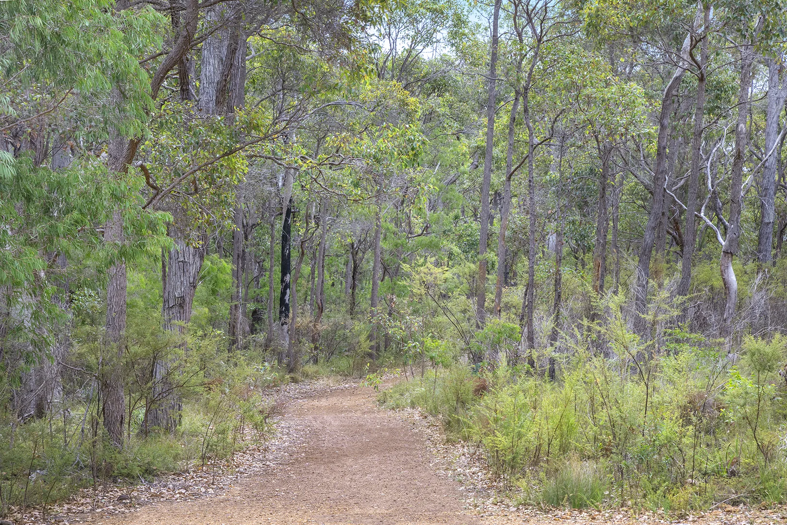 Additional image 9 of 35 Hardwood Loop, Cowaramup WA 6284