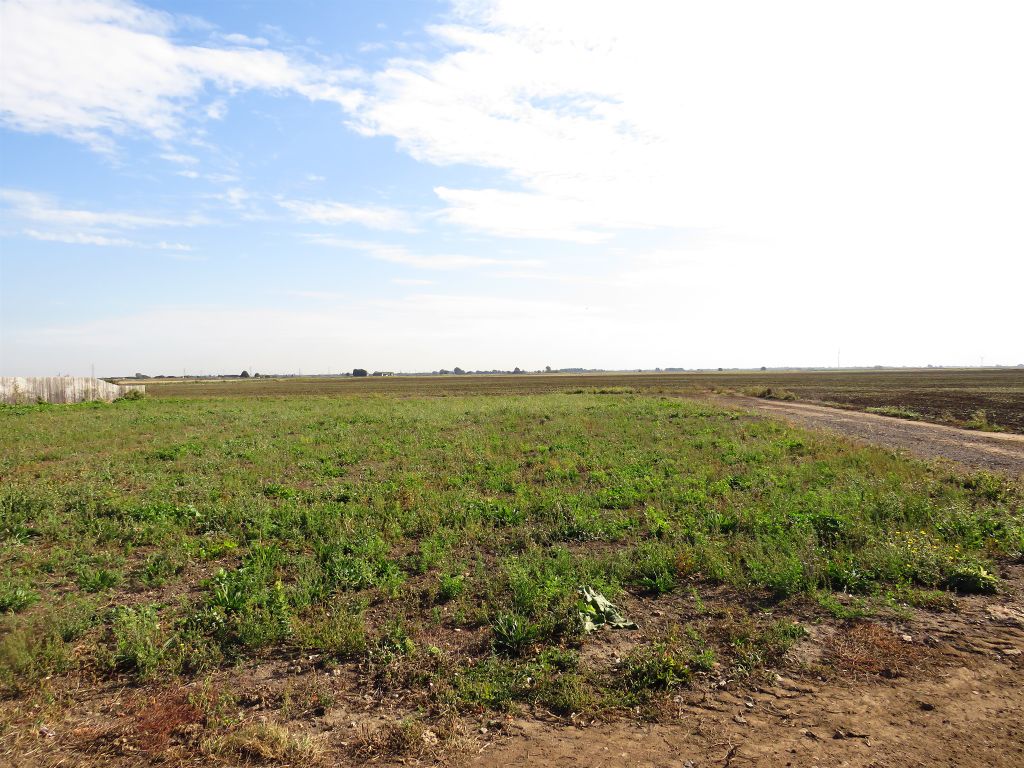 Land for saleWhittlesey Road, March PE15