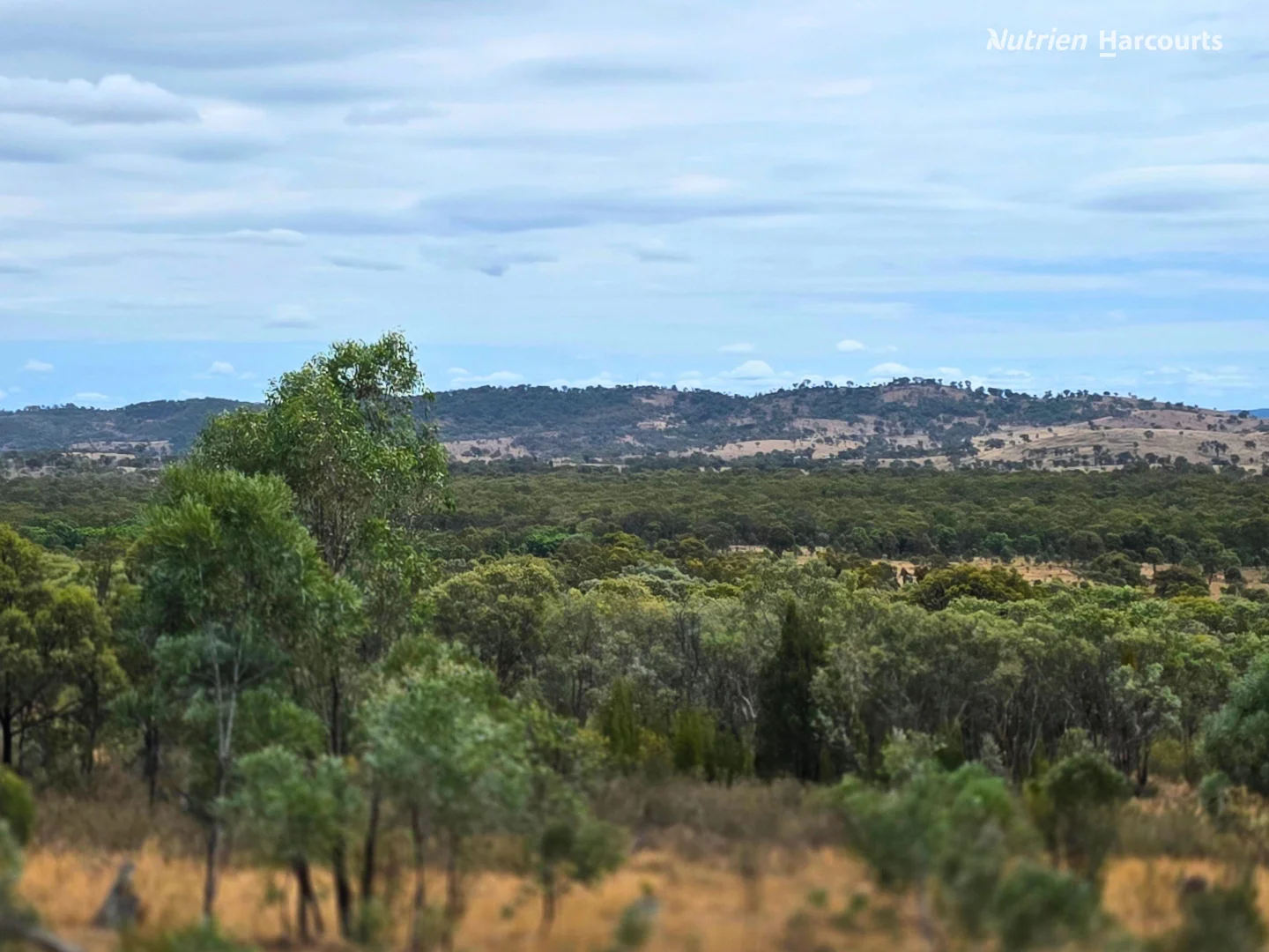 Additional image 5 of 296 Gulf Road, Emmaville NSW 2371
