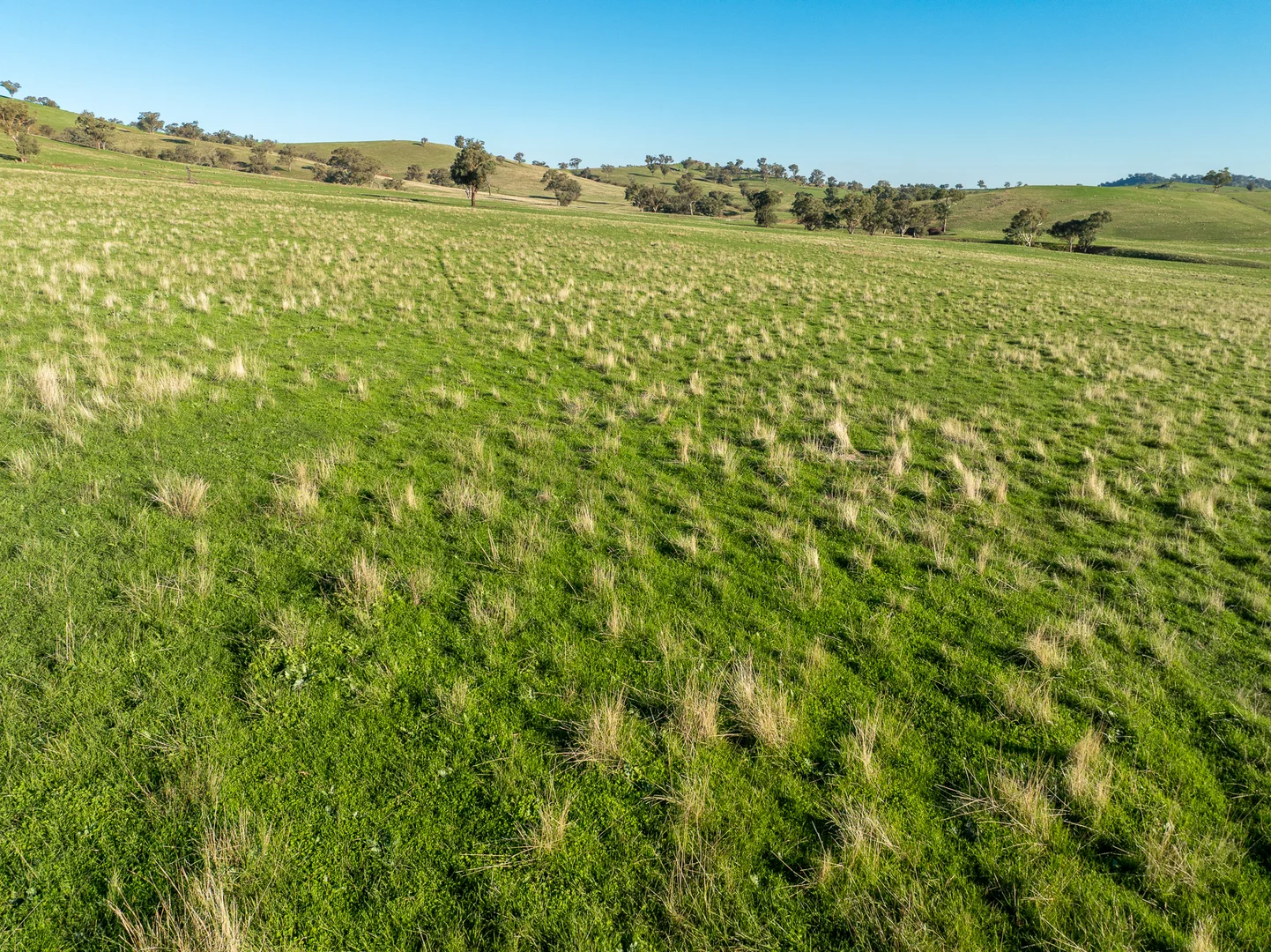 Additional image 14 of 1629 Darby Falls Road, Cowra NSW 2794