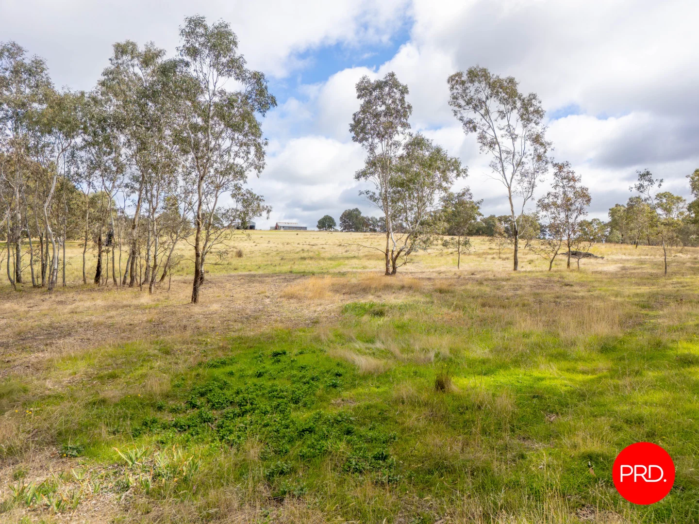 Additional image 9 of 1445 Bendigo-Sutton Grange Road, Sutton Grange VIC 3448