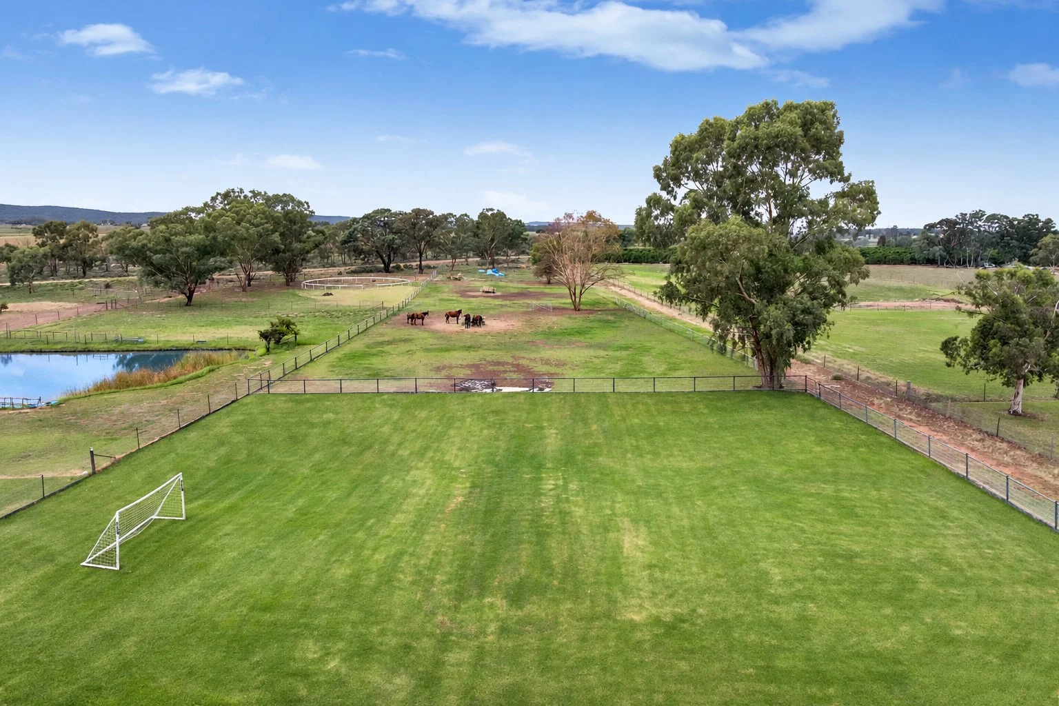 Additional image 26 of 336 Petersham Road, Leeton NSW 2705