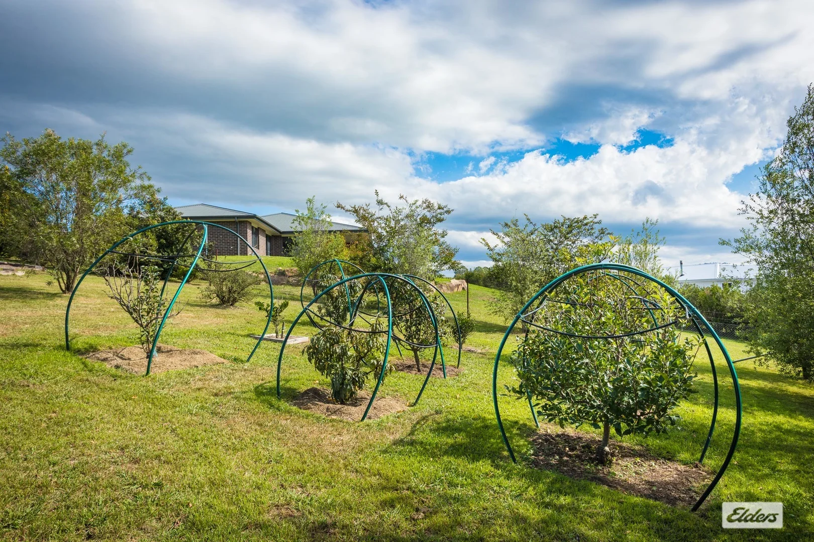 Additional image 31 of 4 Bridle Place, Bega NSW 2550