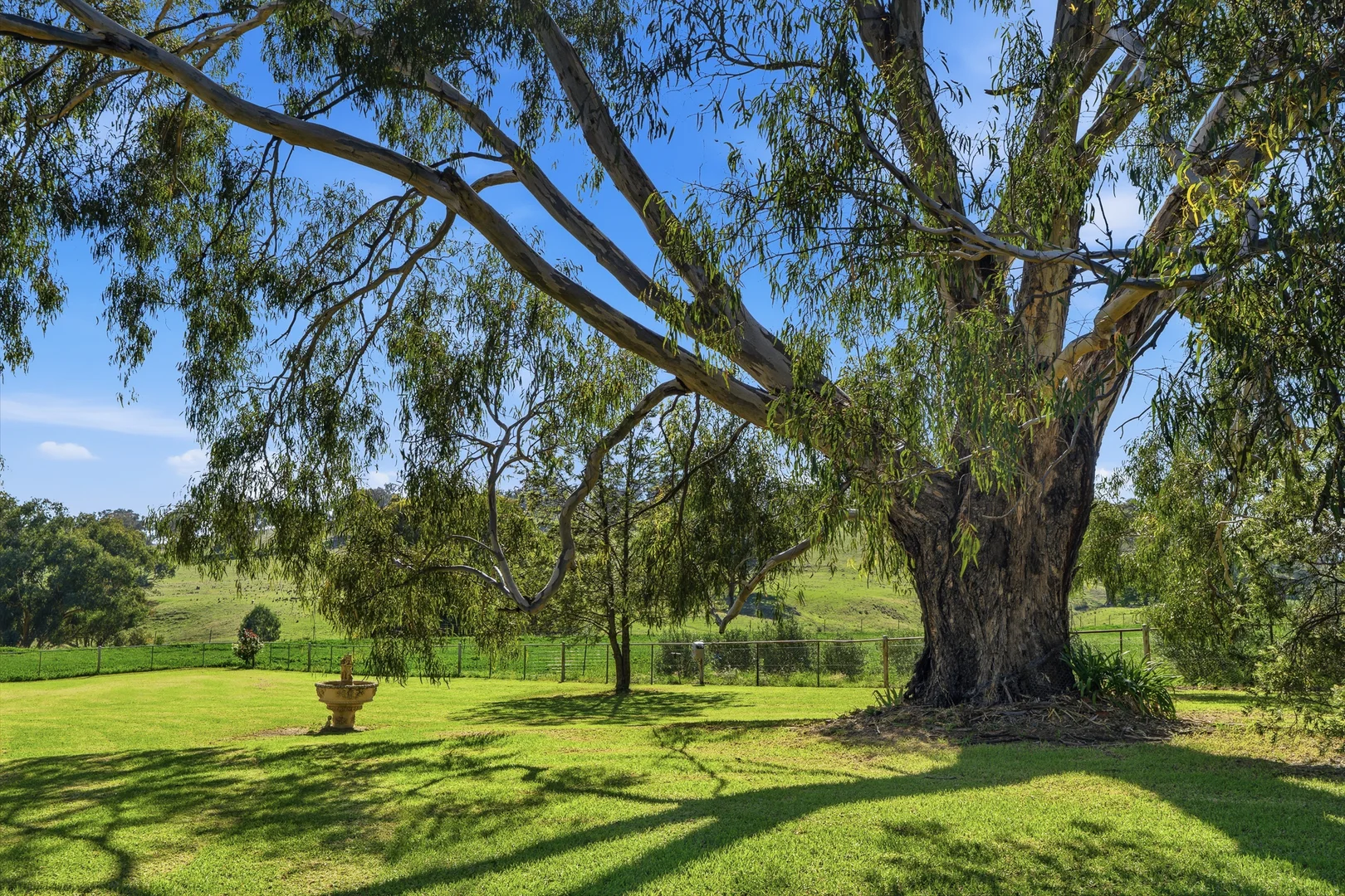 Additional image 5 of 1629 Darby Falls Road, Cowra NSW 2794