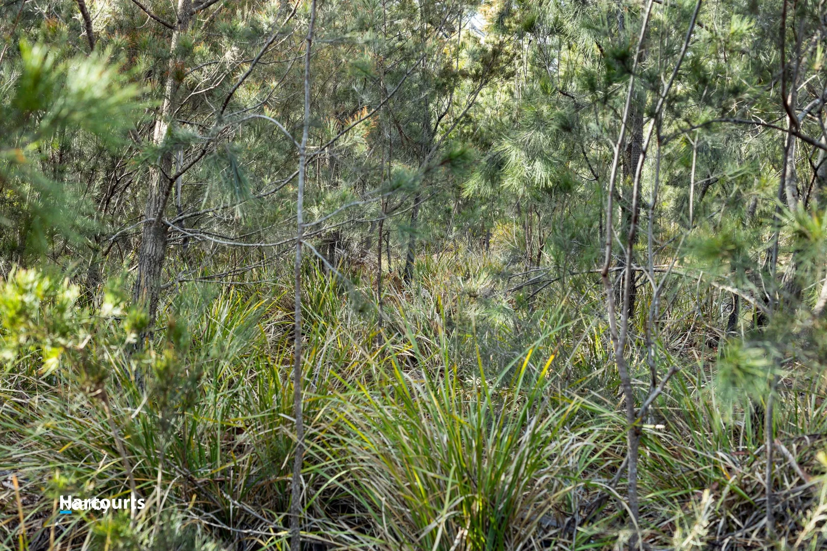 Additional image 17 of Lot 1 Scarrs Road, Garden Island Creek TAS 7112