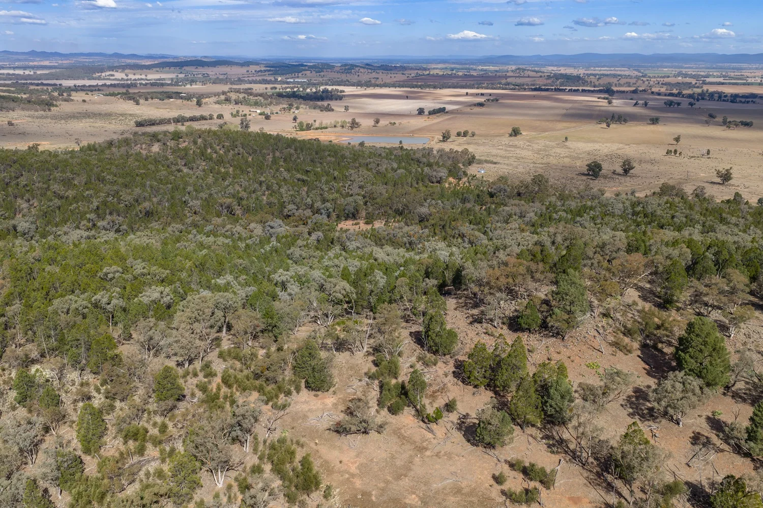 Additional image 19 of 3705 Nanami Lane, Canowindra NSW 2804