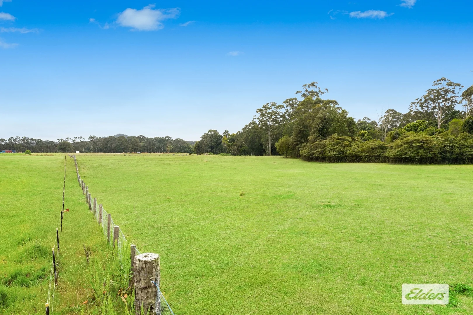 Additional image 8 of 55 Davenport Lane, Jilliby NSW 2259