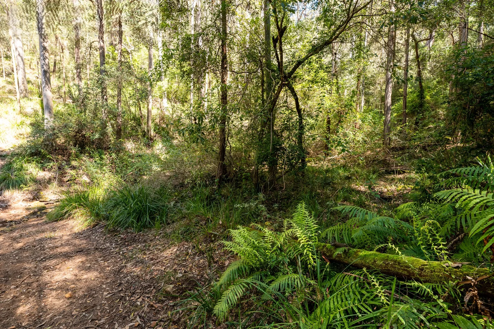 Additional image 9 of 123 News Road, Werombi NSW 2570