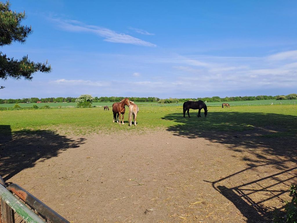 Additional image 16 of Land for saleNew Farm Livery, Netherley Road, Tarbock Green L35