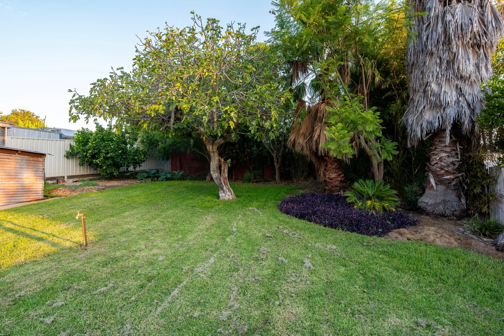 Additional image 15 of 369 KENILWORTH STREET, East Albury NSW 2640