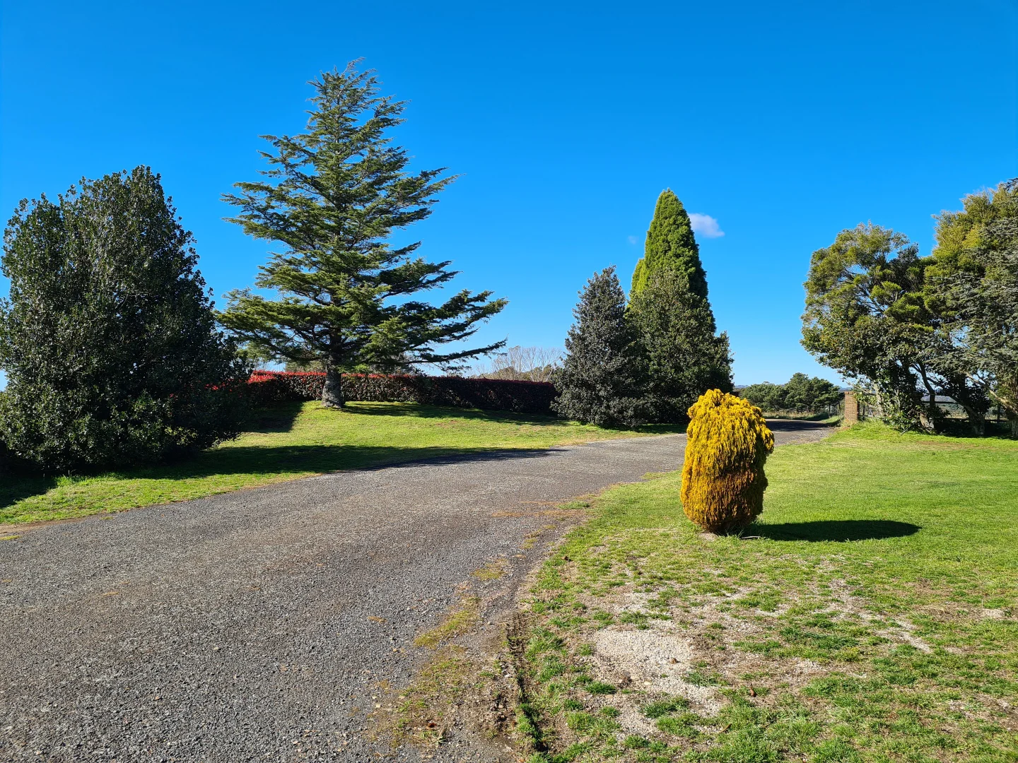 Additional image 2 of 54 Mount Broughton Road, Werai NSW 2577