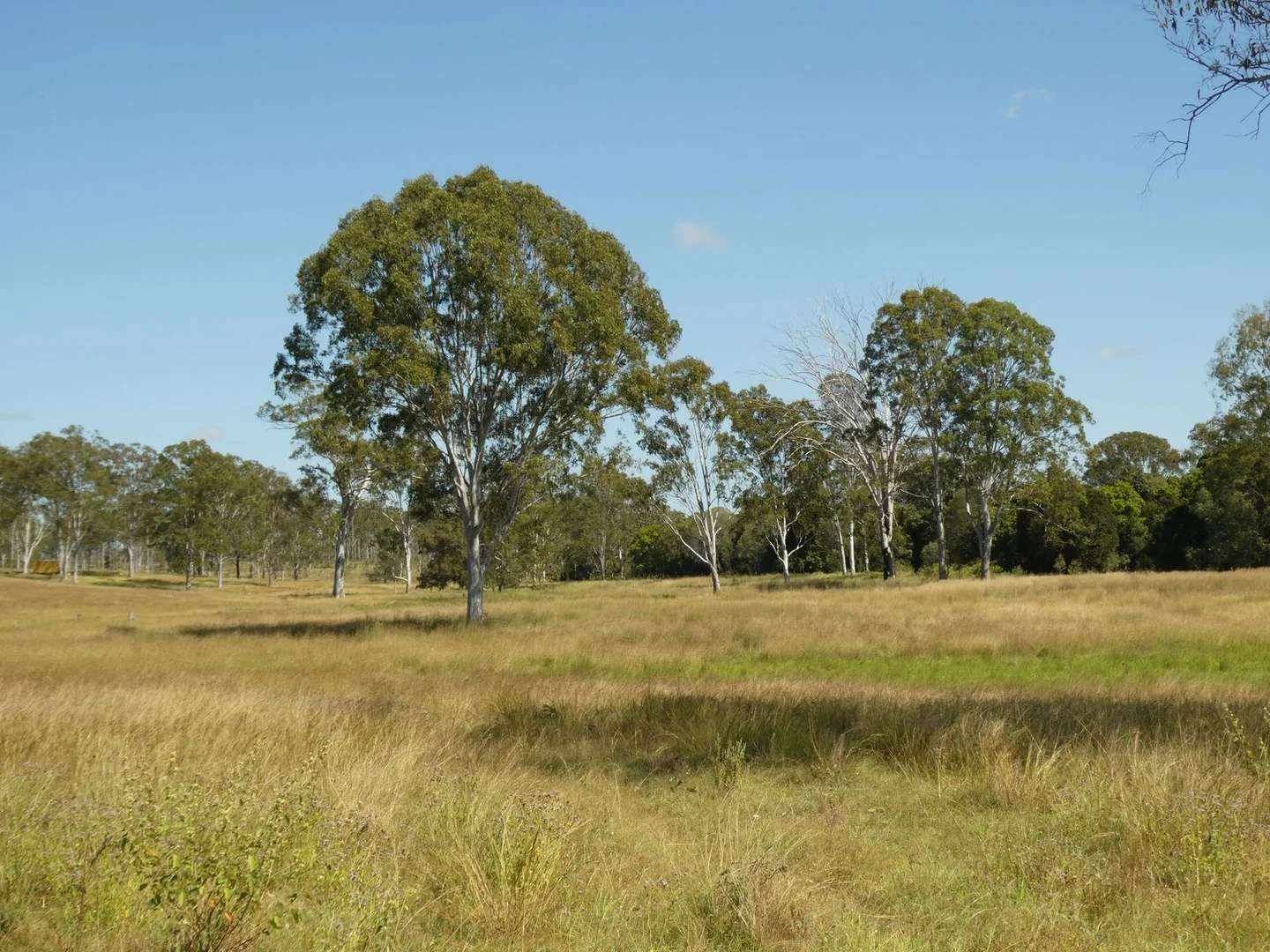 Additional image 7 of Lot 31 Brooweena Woolooga Road, Teebar QLD 4620