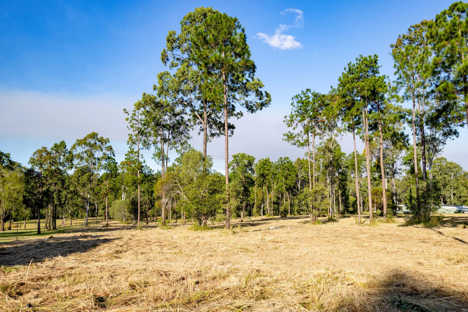 Additional image 7 of Lot 205 & 206 Arborfive Road, Glenwood QLD 4570