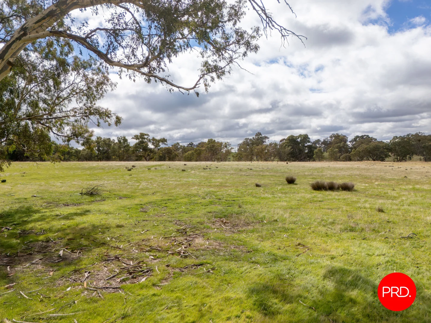Additional image 11 of 1445 Bendigo-Sutton Grange Road, Sutton Grange VIC 3448
