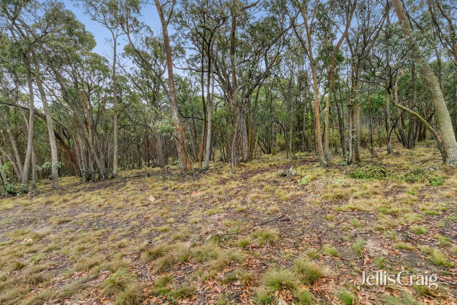 Additional image 7 of Lot 1 Skirkas Road, Buninyong VIC 3357