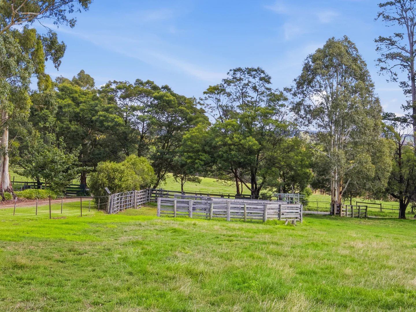 Additional image 31 of 70 Hill Road, Gruyere VIC 3770