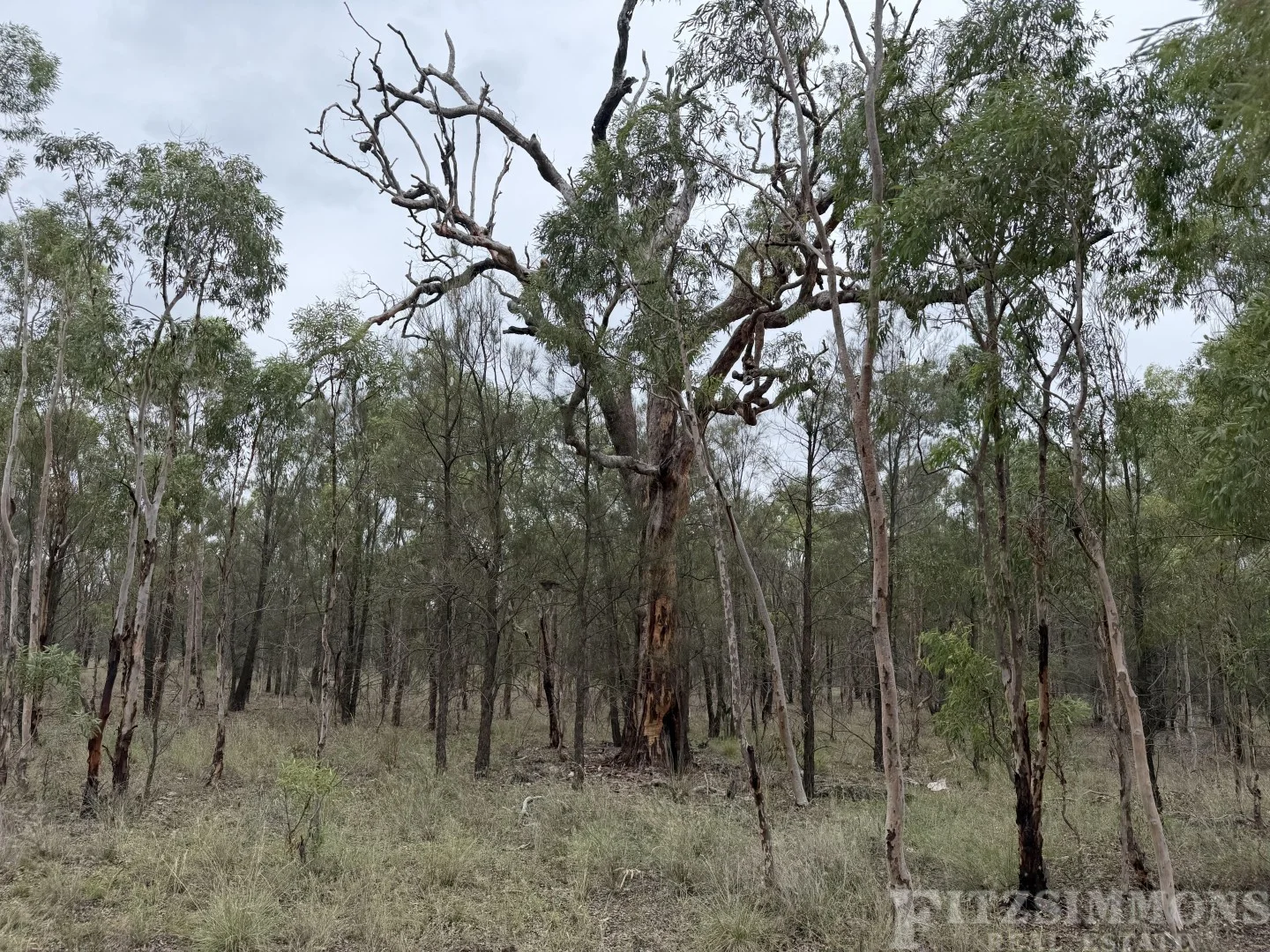 Additional image 4 of Ducklo QLD 4405