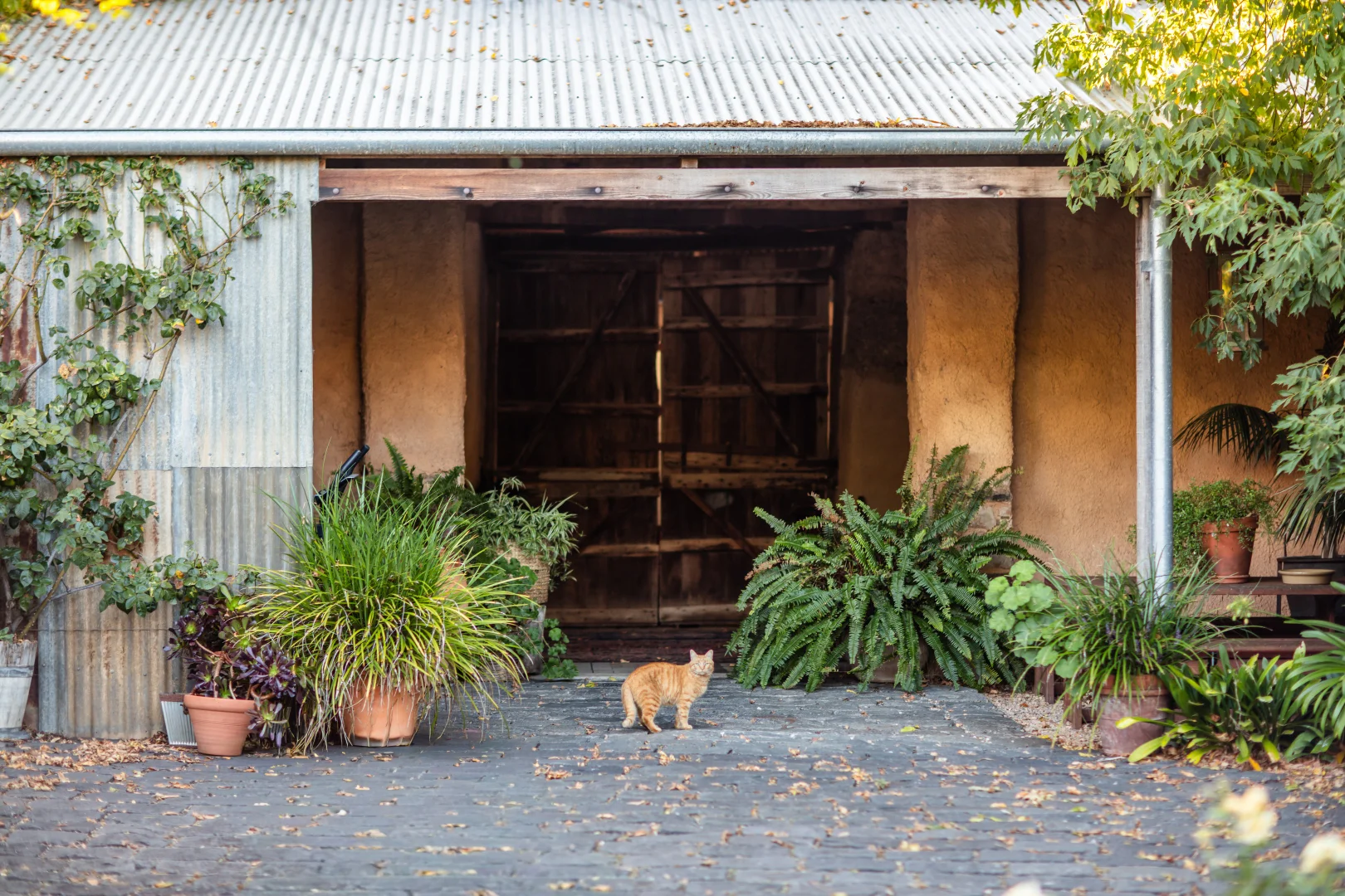 Additional image 27 of 156 Newman Road, Charleston SA 5244