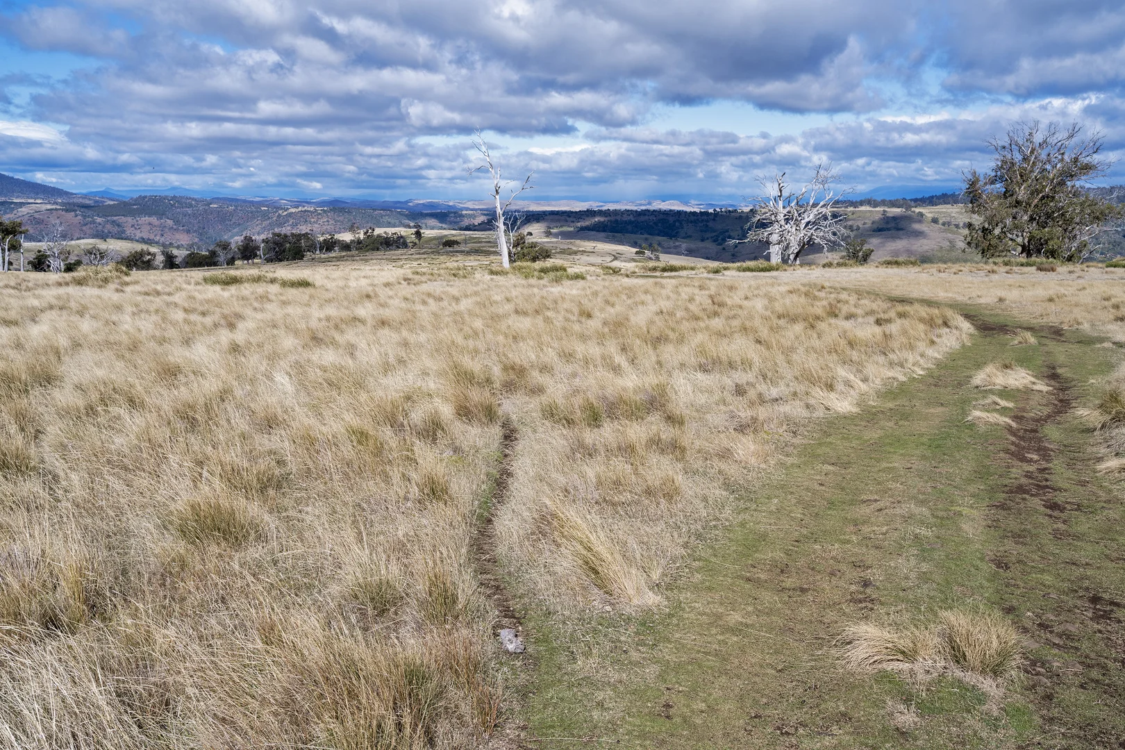 Additional image 13 of . McGuires Marsh Road, Osterley TAS 7140