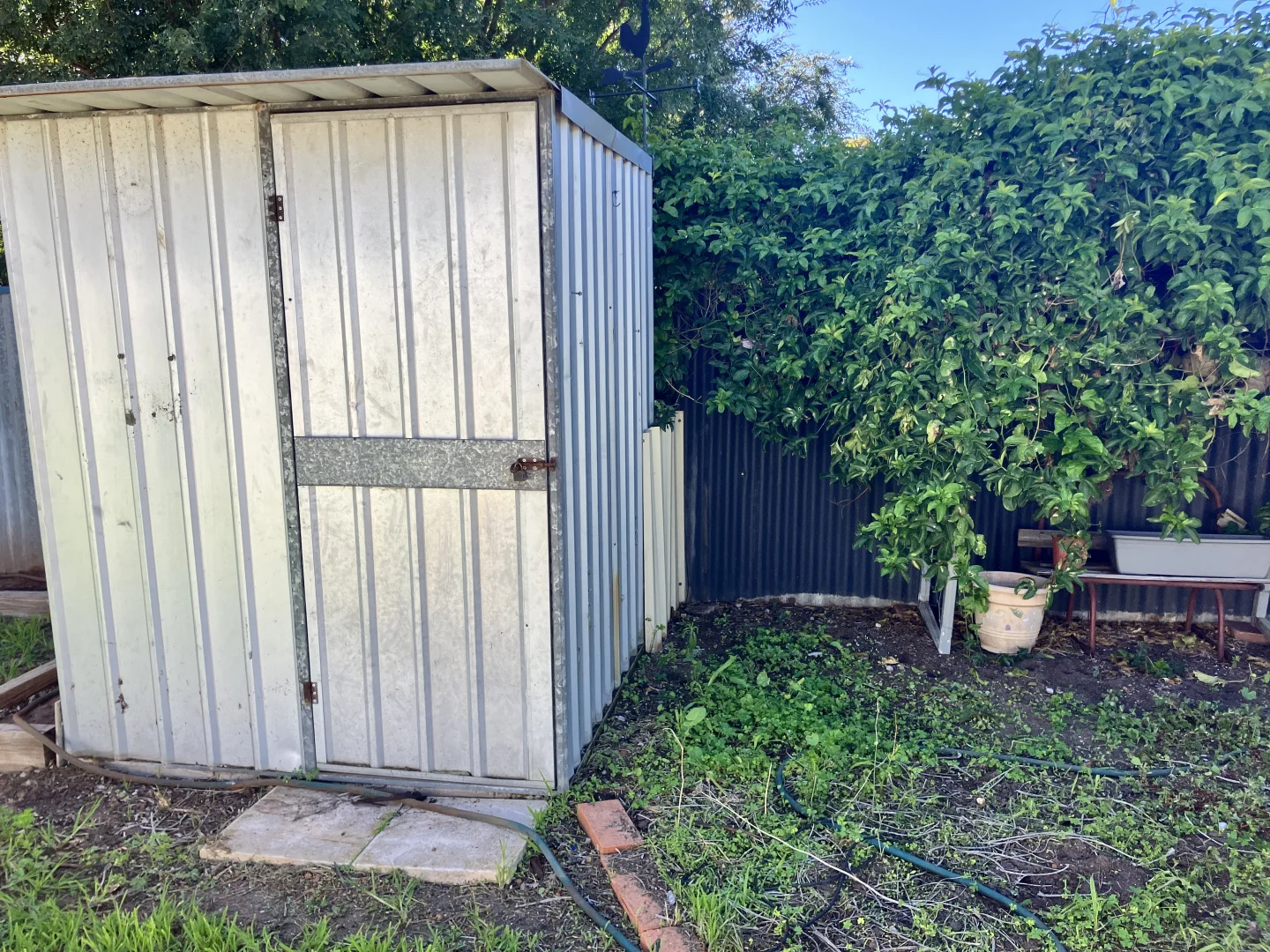 Additional image 42 of 65 Dunn Street, Ravensthorpe WA 6346