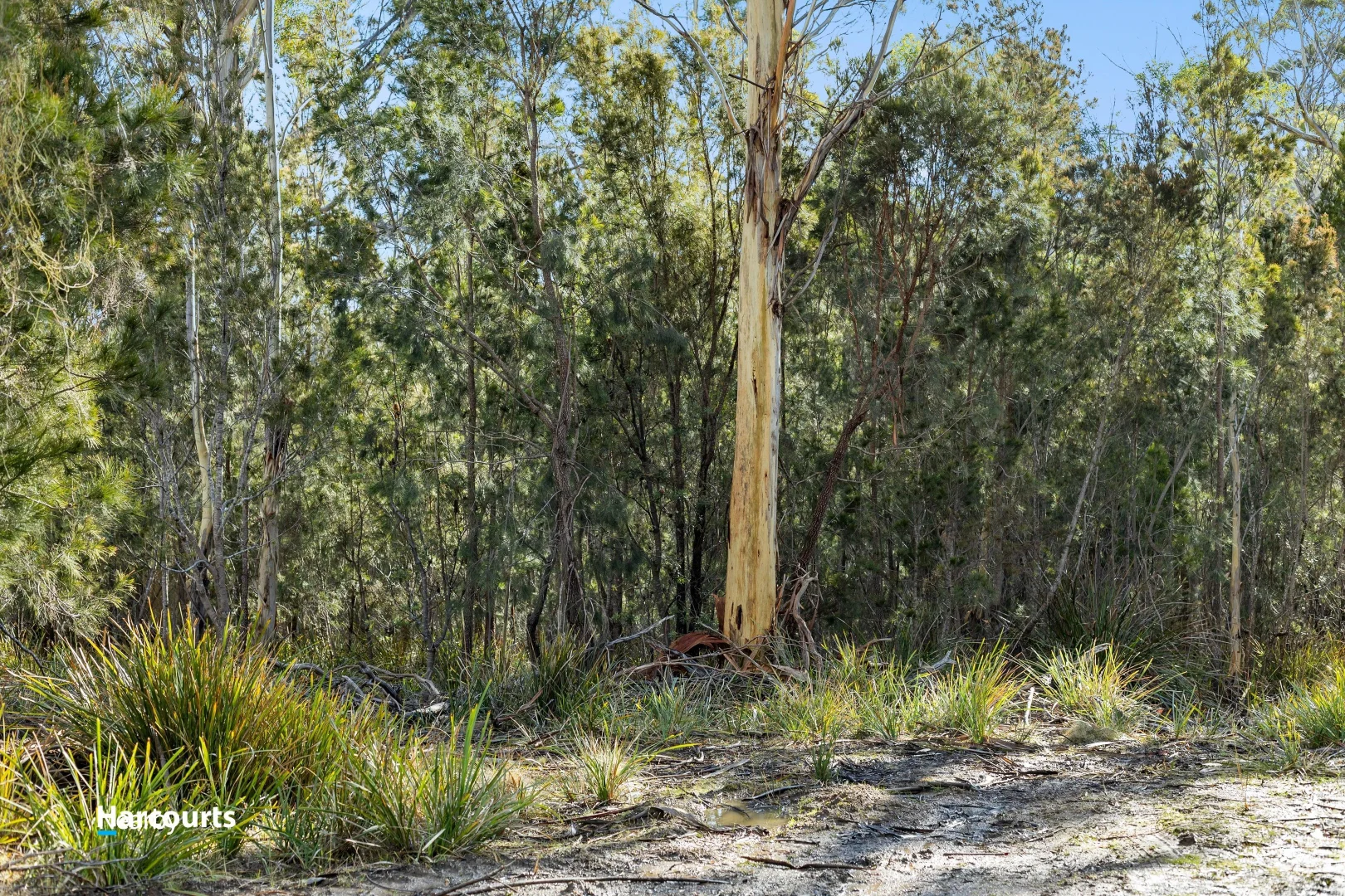 Additional image 15 of Lot 2 Scarrs Road, Garden Island Creek TAS 7112