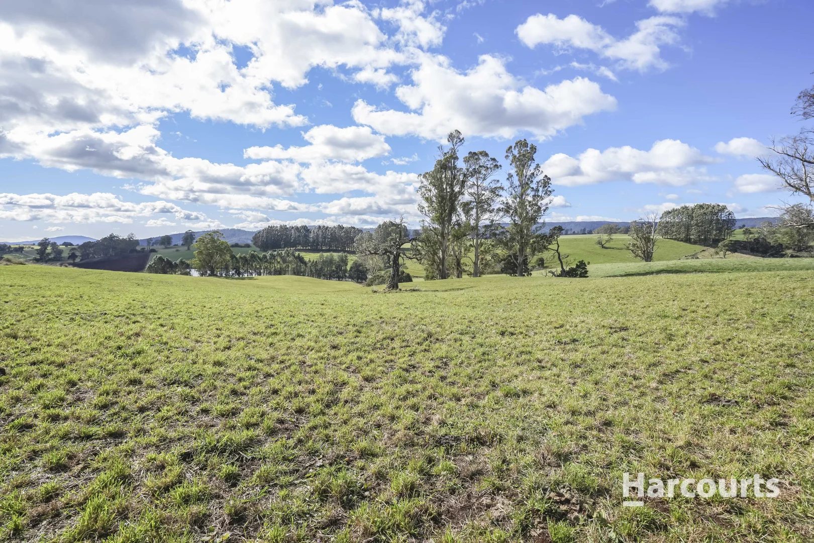 Additional image 49 of 214 Mathinna Plains Road, Ringarooma TAS 7263