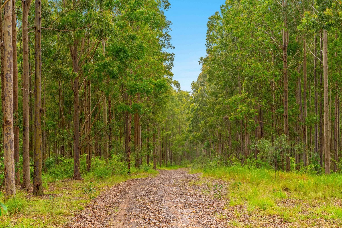 Additional image 20 of 18 Ryans Road, Bonalbo NSW 2469
