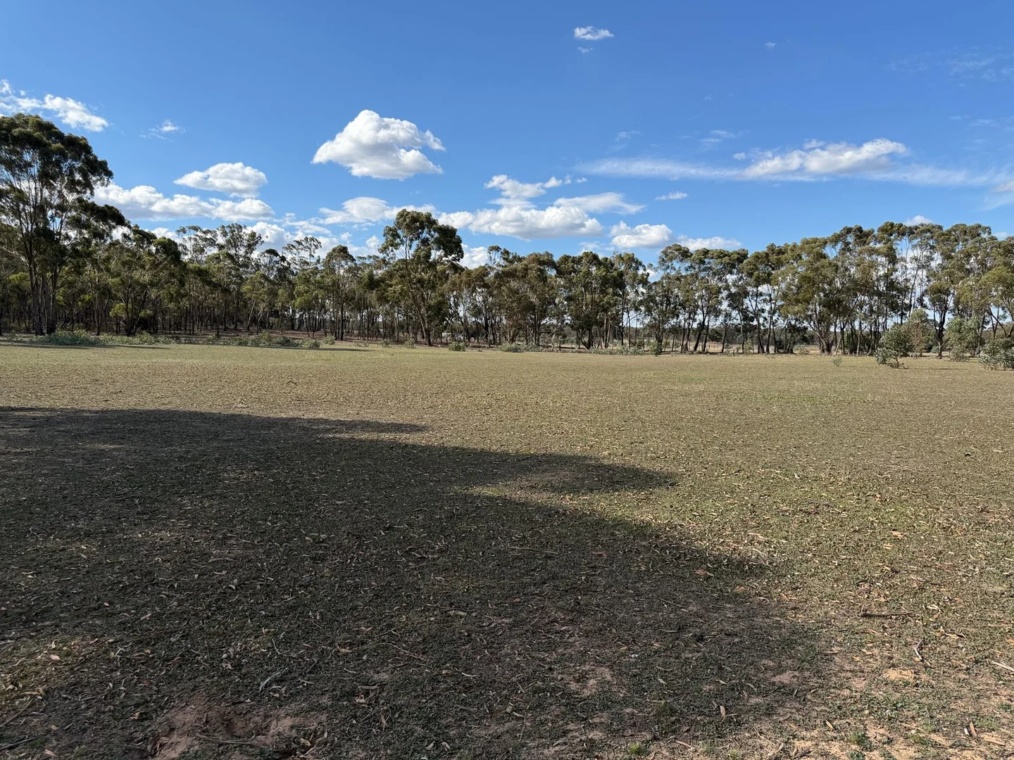 Additional image 15 of 402 Stuart Mill Road, Dunolly VIC 3472
