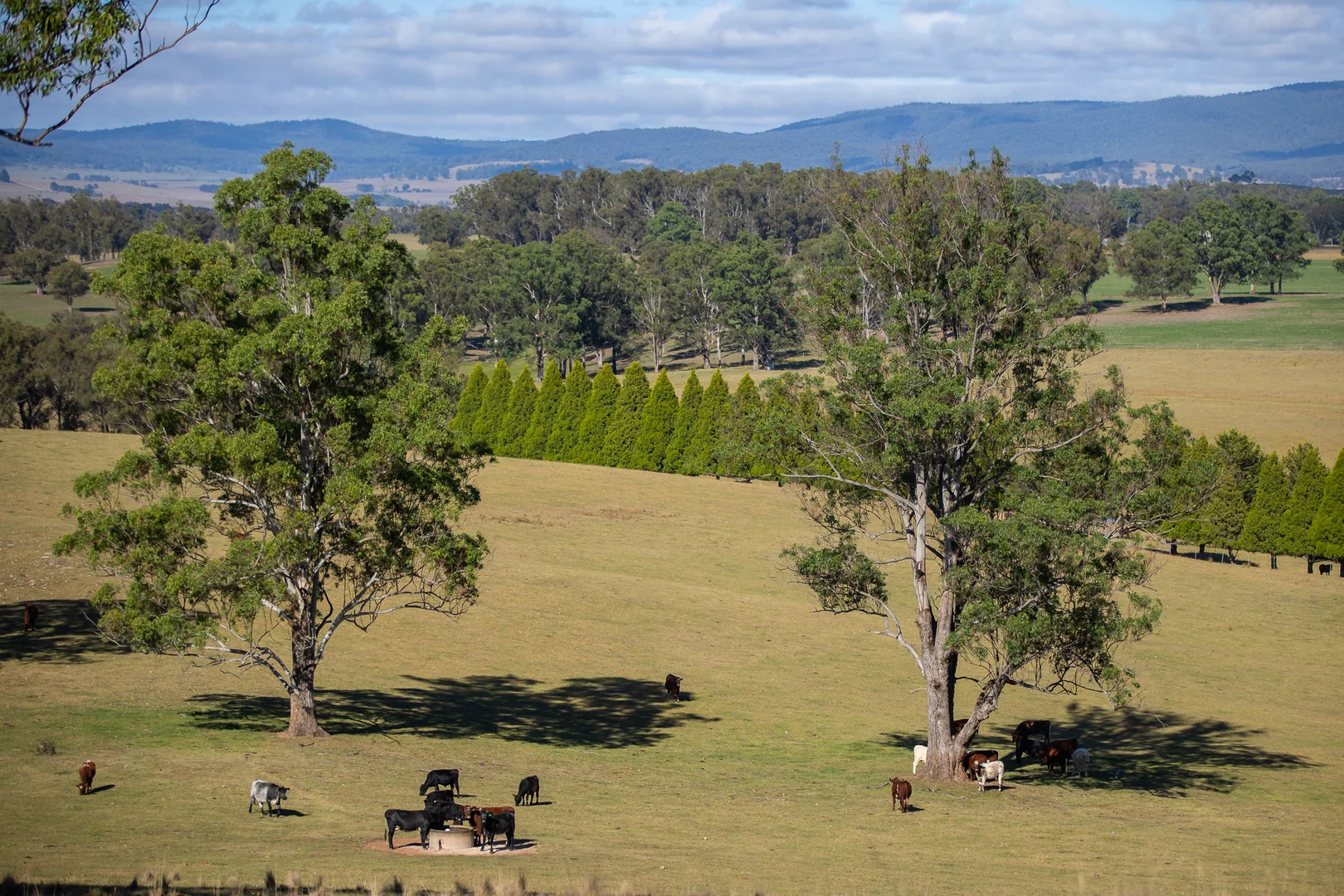Additional image 26 of 700 Oaklands Road Yarrowitch Valley Via, Walcha NSW 2354
