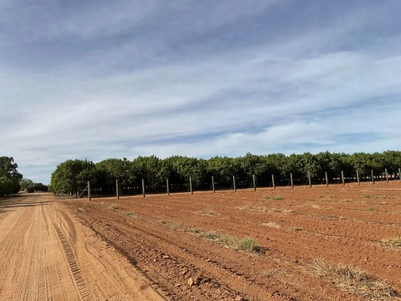 Additional image 16 of 137/138 North River Road, North Plantations WA 6701