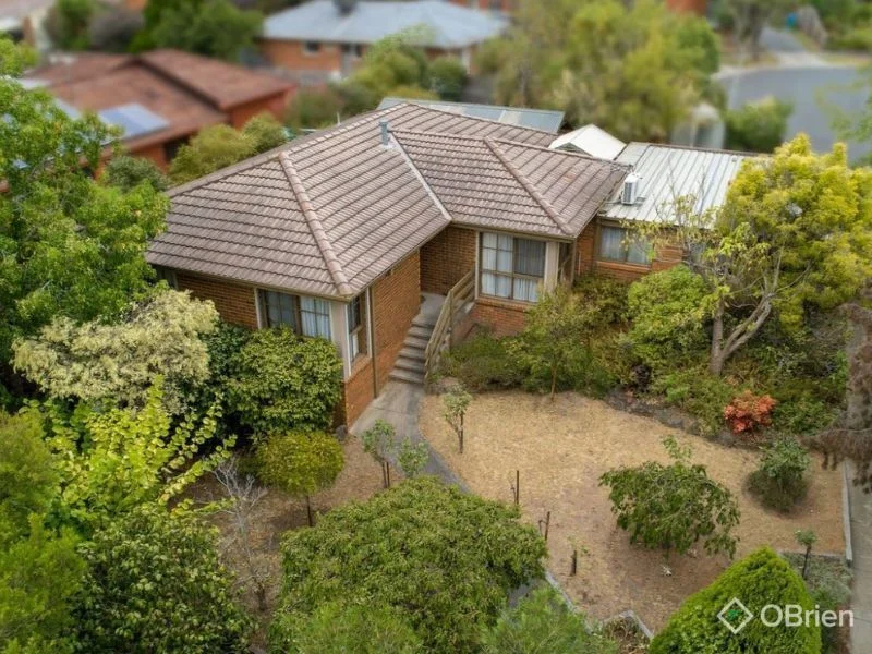 19 Blackwood Drive, Narre Warren VIC 3805