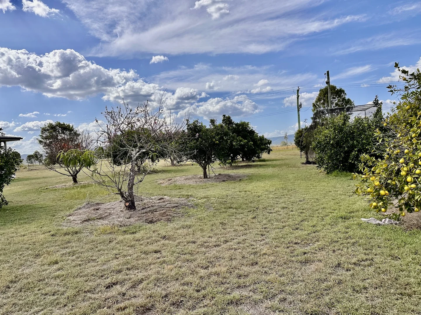 Additional image 8 of Cressbrook QLD 4313