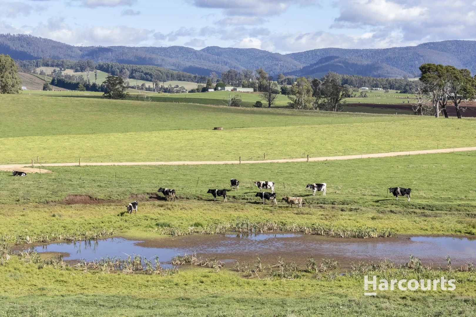 Additional image 34 of 214 Mathinna Plains Road, Ringarooma TAS 7263
