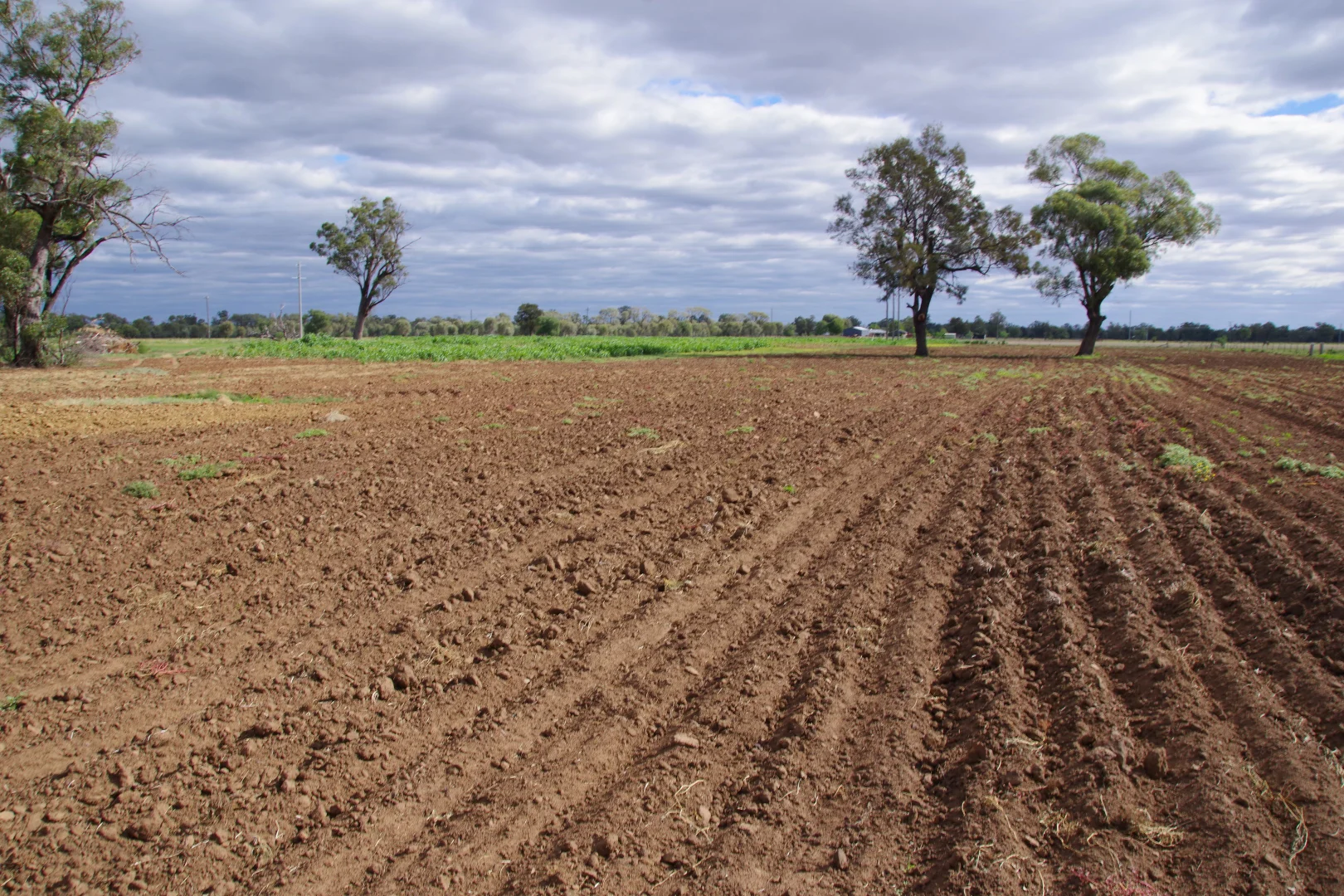 Additional image 29 of 163 Old Gunnedah Road, Narrabri NSW 2390