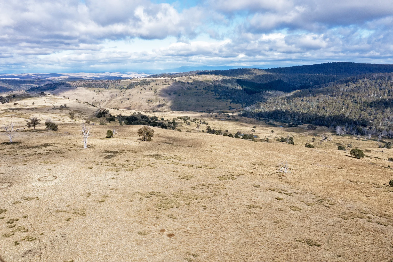 Additional image 5 of . McGuires Marsh Road, Osterley TAS 7140