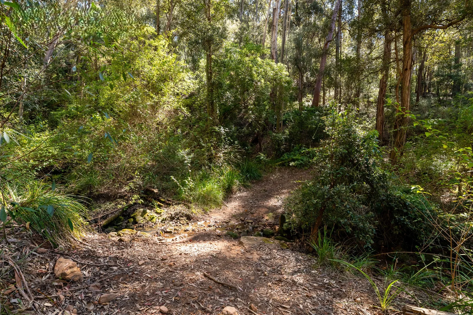 Additional image 4 of 123 News Road, Werombi NSW 2570