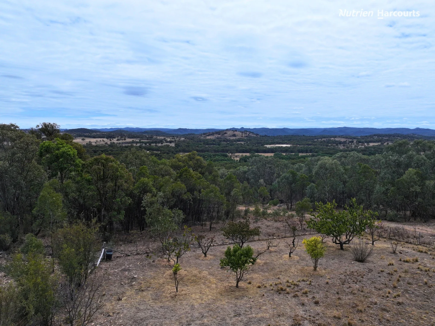 Additional image 27 of 296 Gulf Road, Emmaville NSW 2371